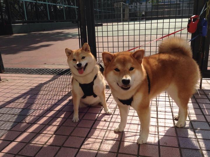 爱游戏在线登录入口-传统文化融合现代比赛，传统文化与现代文化的碰撞和融合