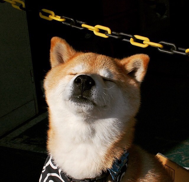 爱游戏中国官方网站平台-全球影响力：NBA在国际市场布局的深度布局，nba在世界的影响有多大