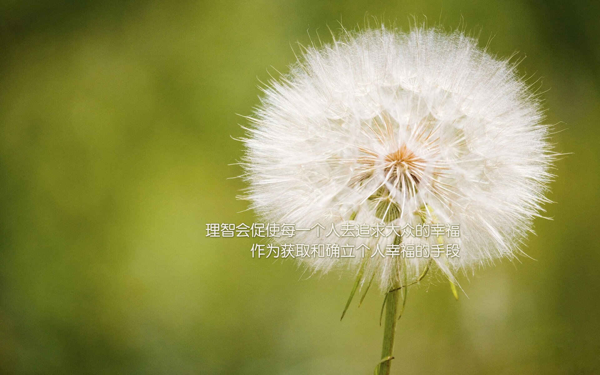 爱游戏在线登录入口-维尼修斯荣获欧冠最佳球员奖，助力皇马夺冠，威尼修斯皇马