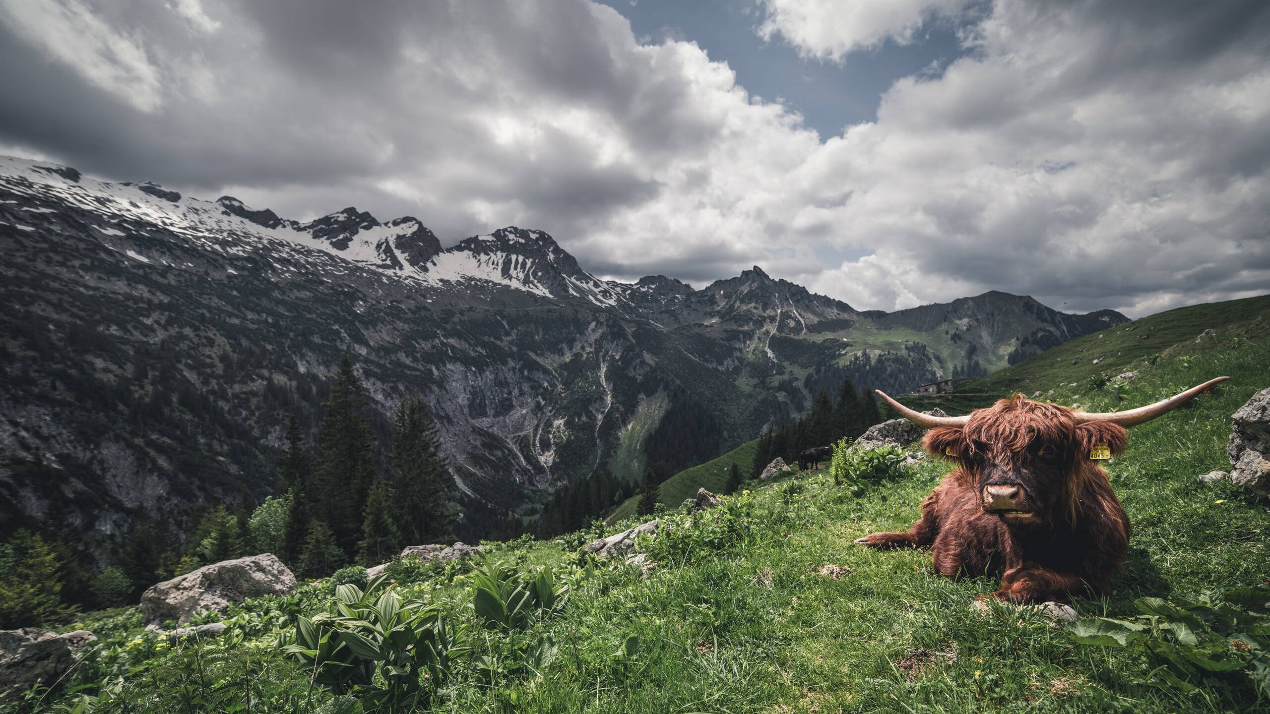 爱游戏娱乐平台-足球加速产业融合，启迪多元发展新路径，促进足球发展
