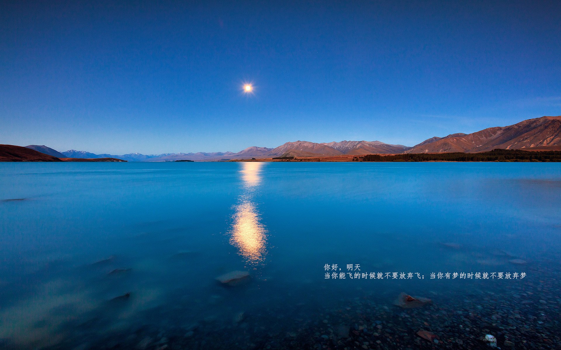 AYX体育官网-前途未卜，亚冠比赛各路豪强角逐，亚冠的比赛