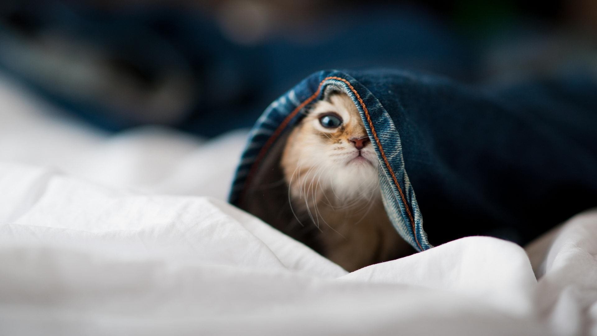 爱游戏体育-尤文图斯签下乌拉圭门将以增强后防线，尤文图斯乌拉圭中后卫