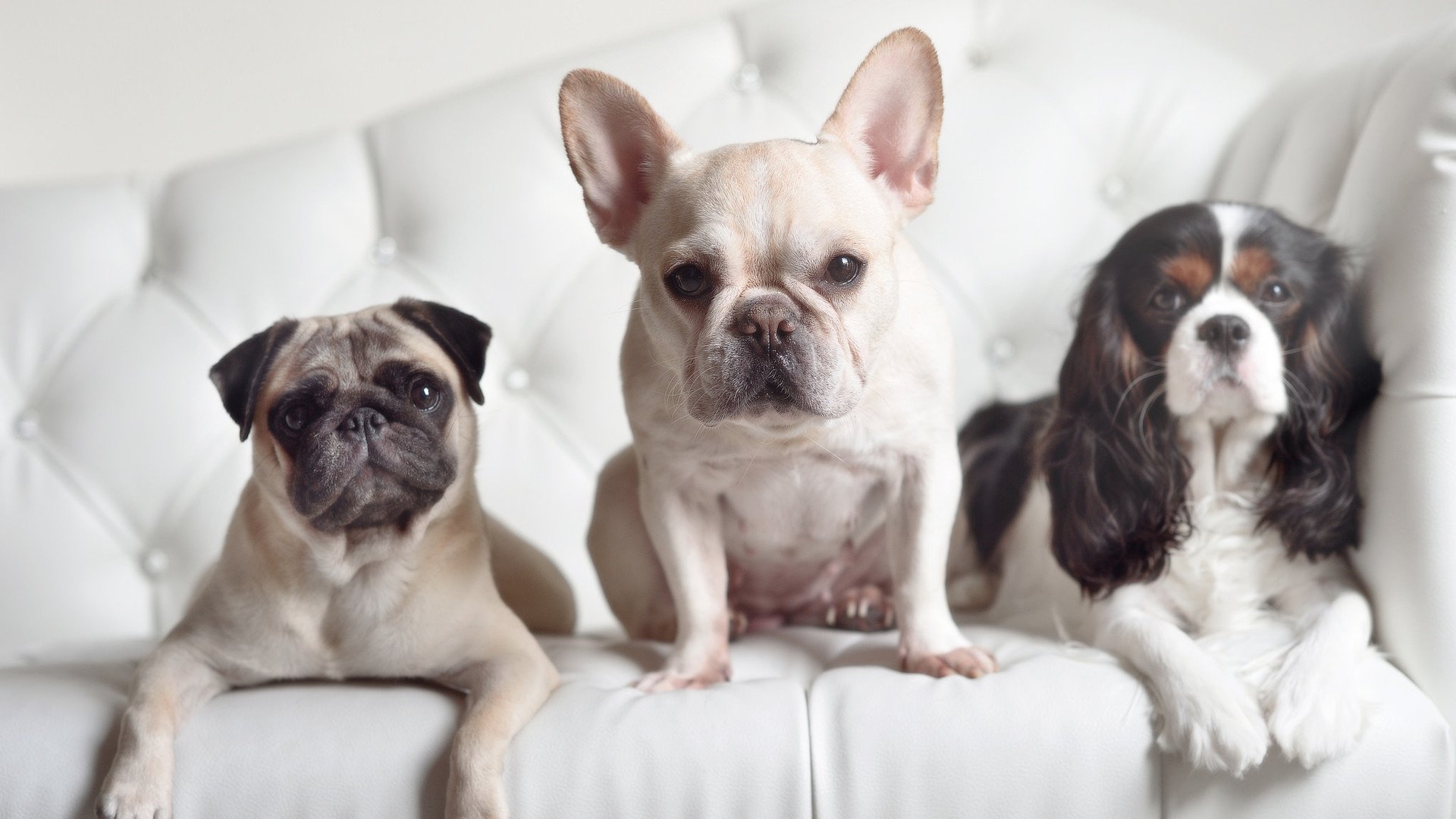 AYX GAME-曼联主场小胜富勒姆，迎来赛季首胜，英超曼联对富勒姆