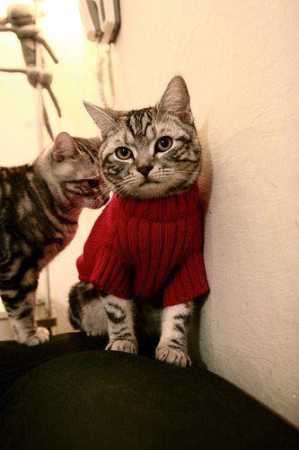 爱游戏平台-比利亚雷亚尔欧战经验是否仍具优势，比利亚雷亚尔获得欧冠资格