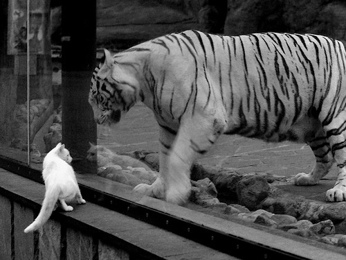 爱游戏 电竞-英格兰实力唤醒 世界杯立站瞄准欧预赛布局，世界杯英格兰队