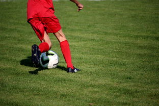 爱游戏在线登录入口-中国篮球职业联赛俱乐部青训体系建设及实践探索，职业篮球青年队