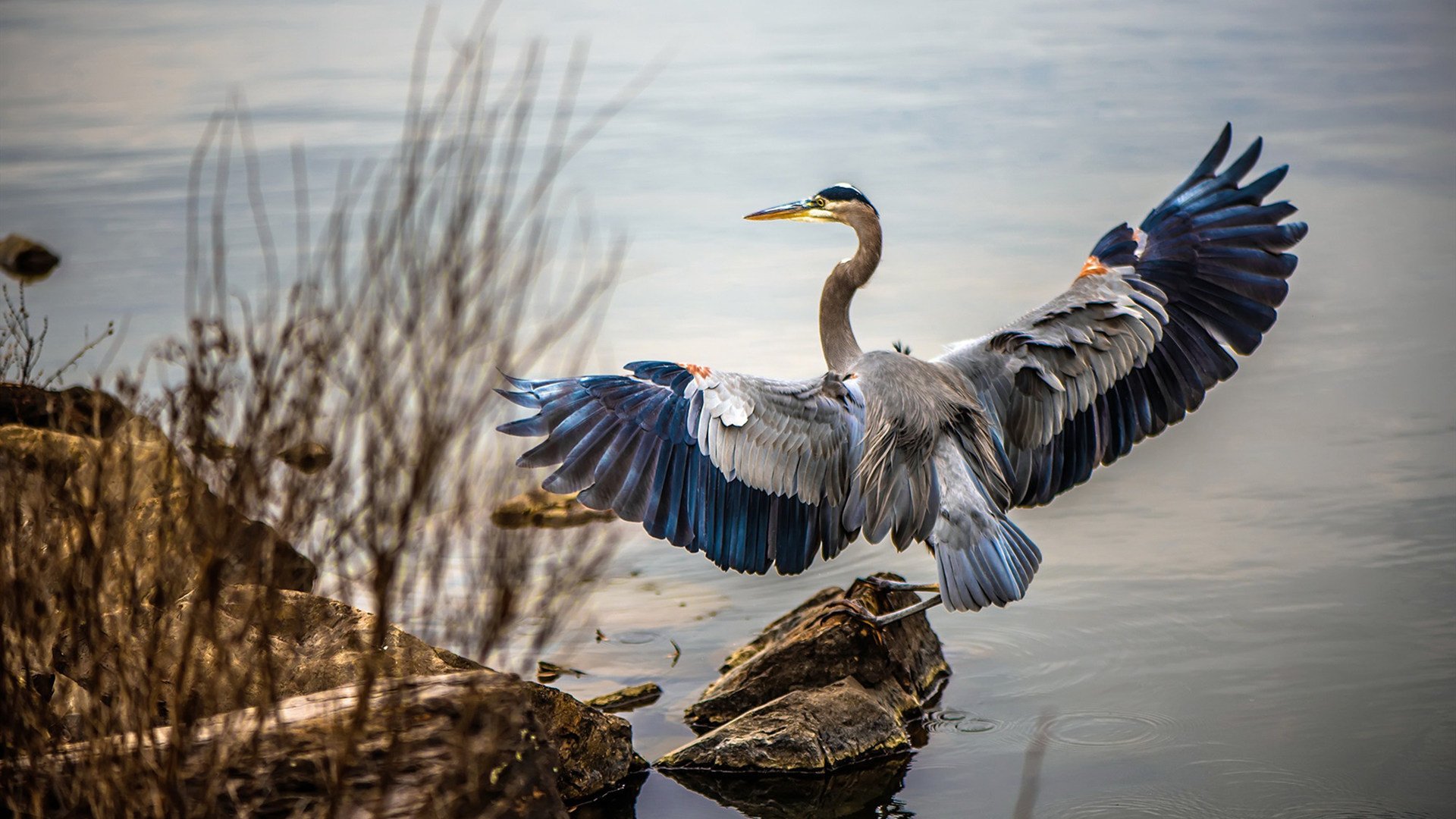 爱游戏体育app-切尔西世界杯夺冠开启新篇章，切尔西世俱杯输给谁了