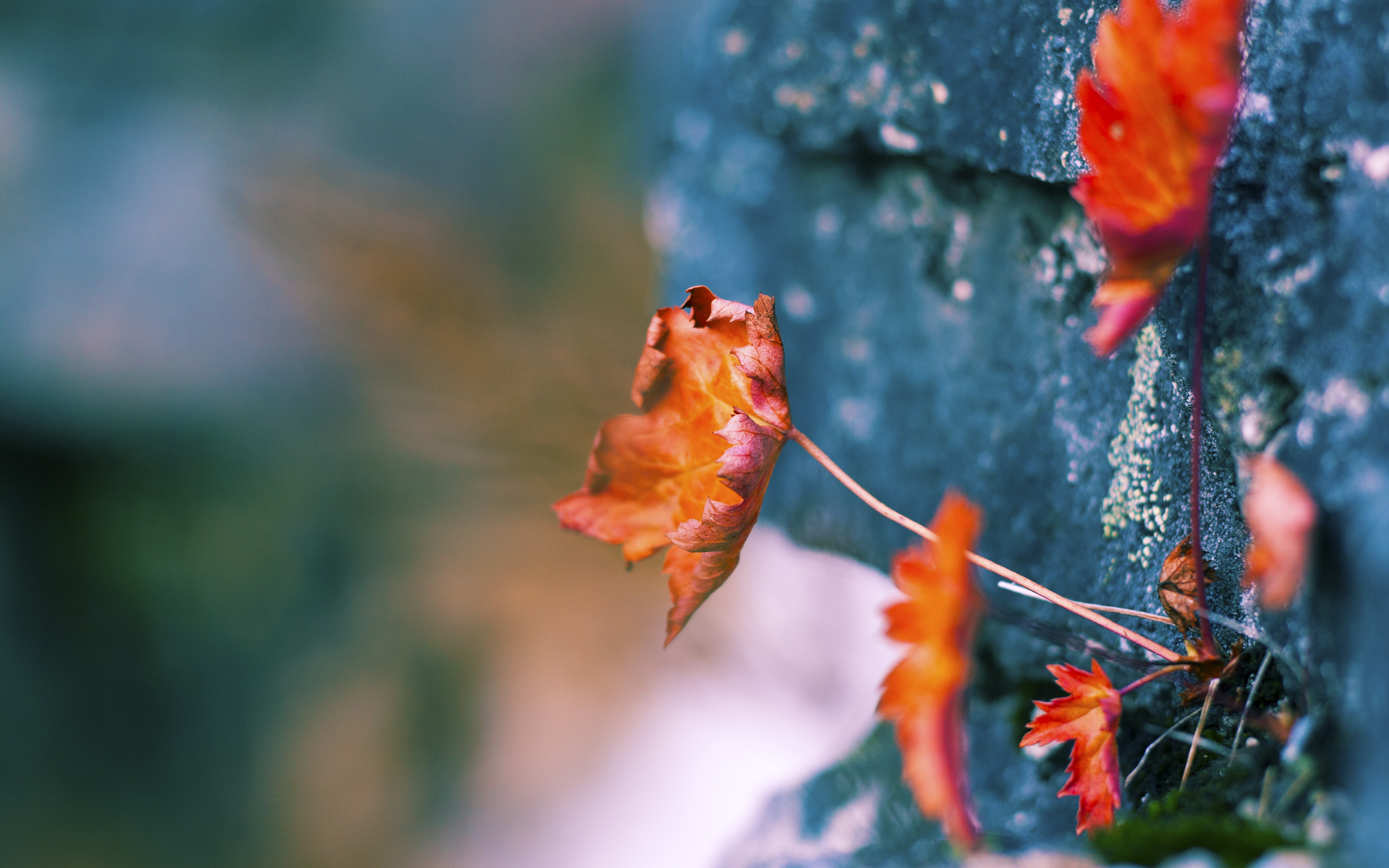 爱游戏在线娱乐官网-锋线射门选择是否正在逐步趋向远射倾向，什么叫锋线球员