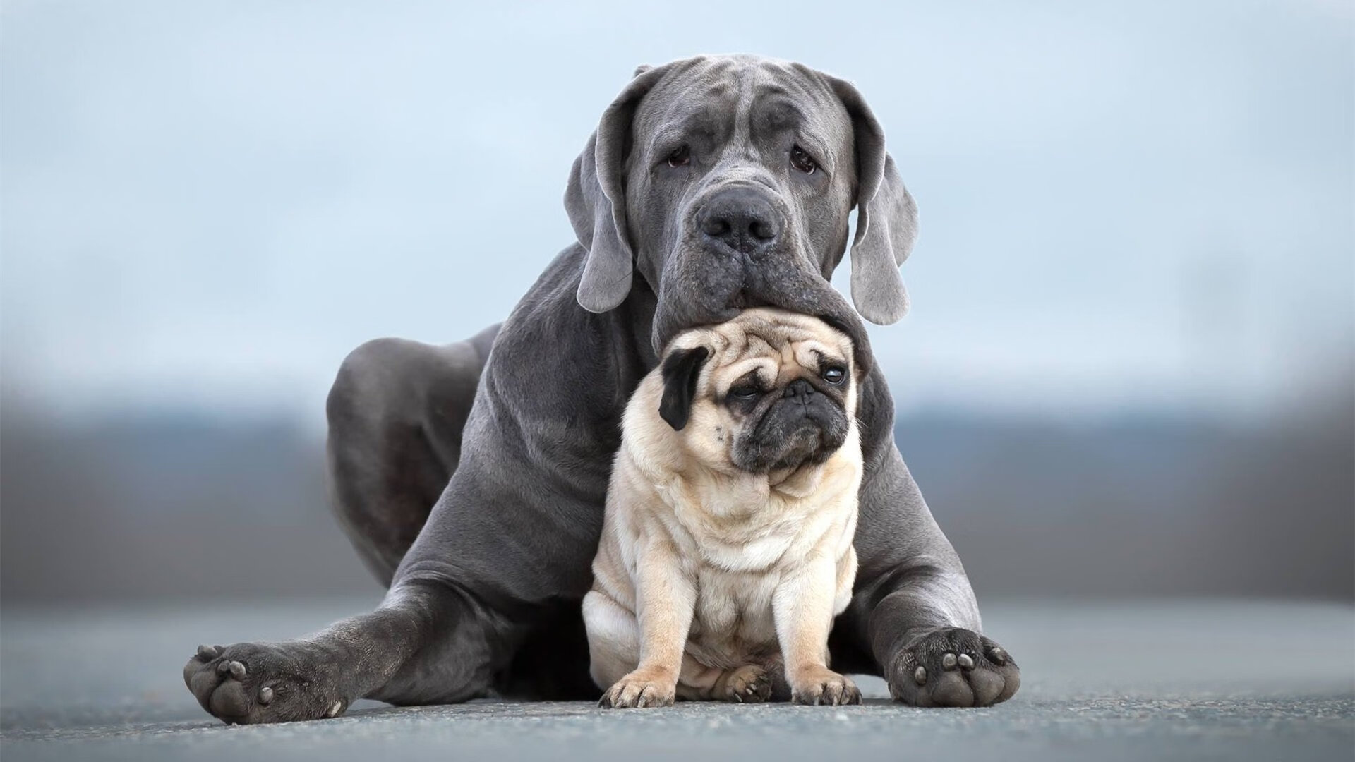 爱游戏娱乐网址-南非男篮在非洲锦标赛中夺冠，体育影响力不断扩大，非洲男篮锦标赛比分