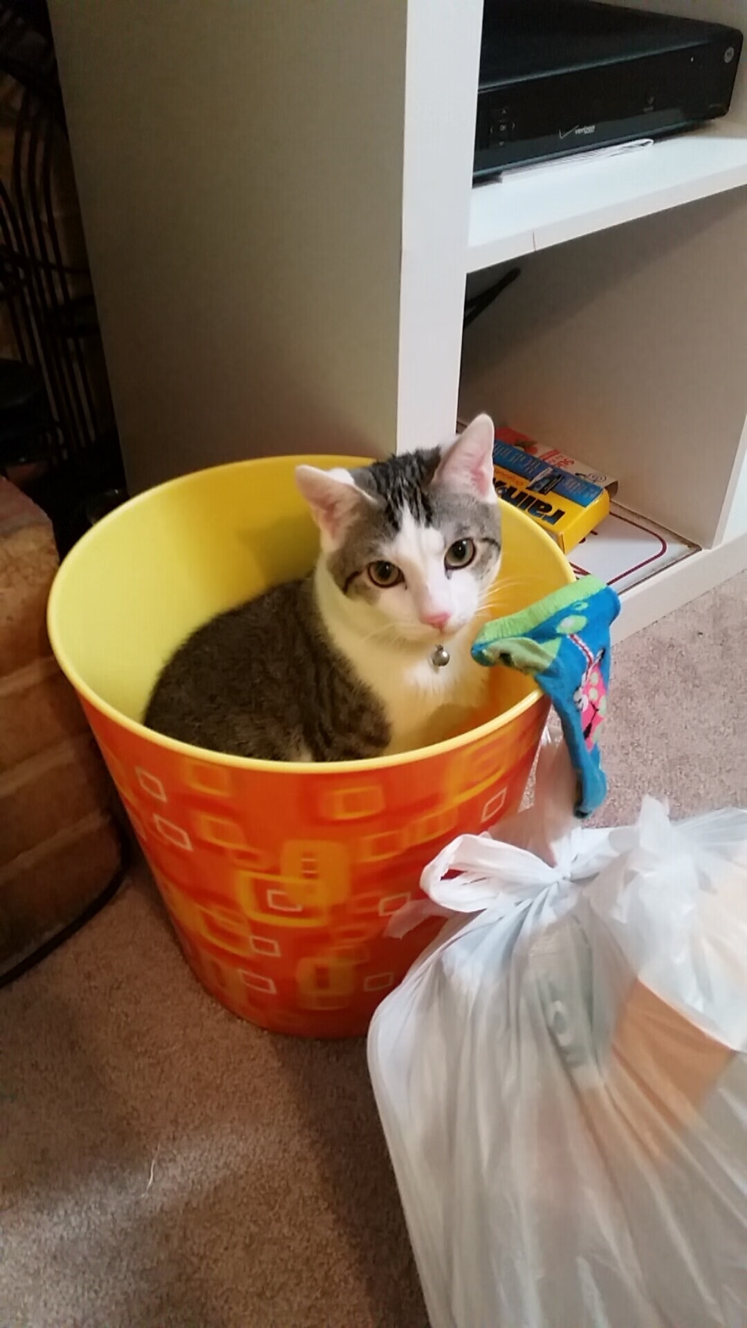 爱游戏体育（AYX）官方APP下载-女子排球世界杯赛程更新，女子排球世界杯赛程更新视频