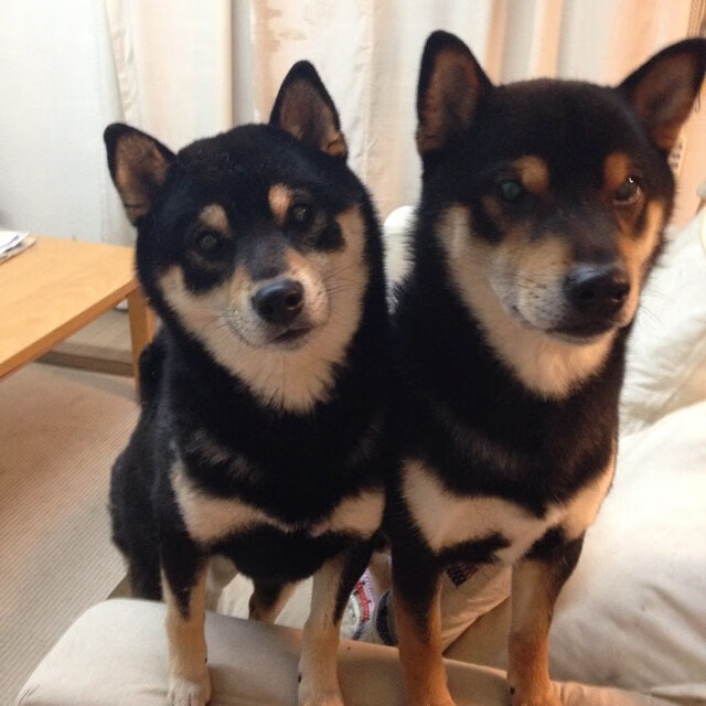 爱游戏平台-联赛排名变化频繁后半程比赛竞争白热化，联赛安排